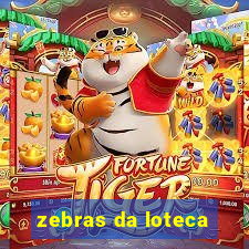 zebras da loteca