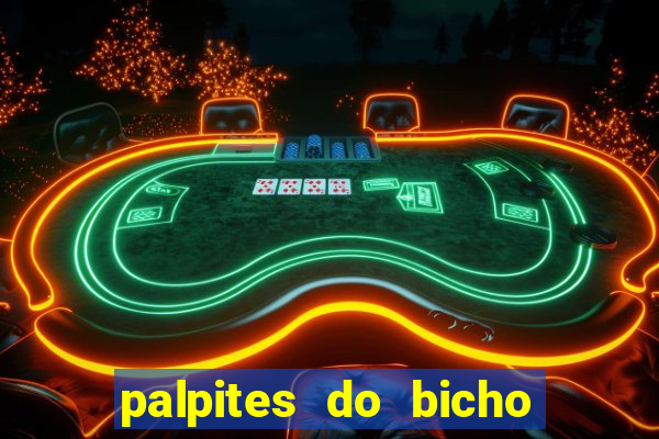 palpites do bicho no celular