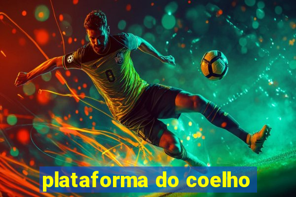 plataforma do coelho