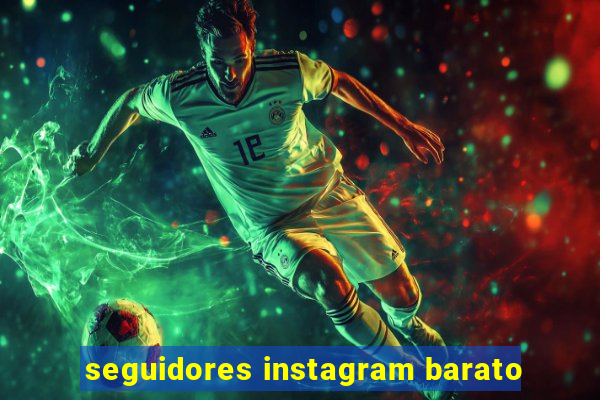 seguidores instagram barato