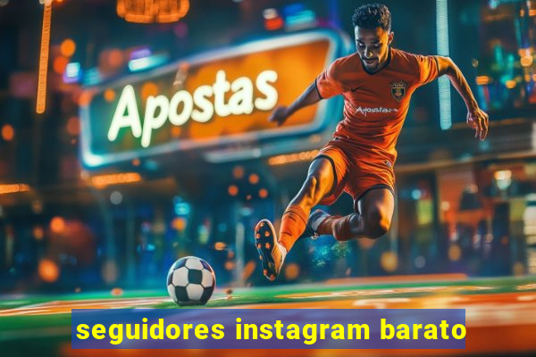 seguidores instagram barato