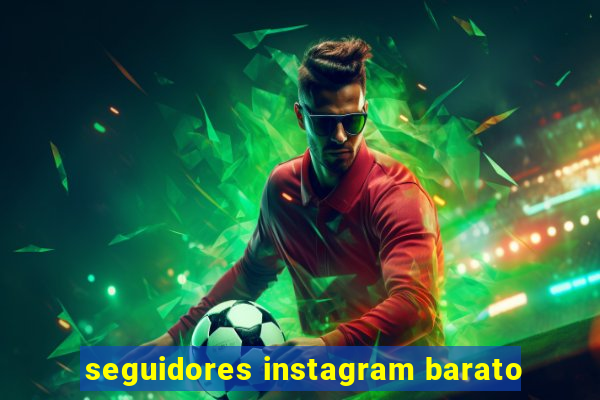 seguidores instagram barato