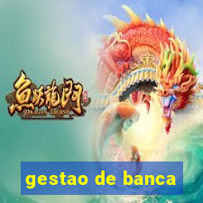 gestao de banca