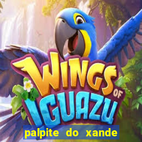 palpite do xande de hoje