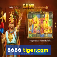 6666 tiger.com