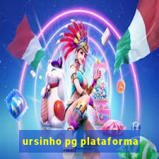 ursinho pg plataforma