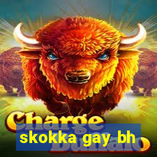 skokka gay bh