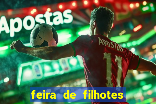 feira de filhotes porto alegre