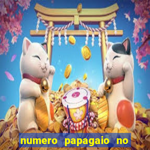 numero papagaio no jogo do bicho