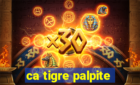 ca tigre palpite