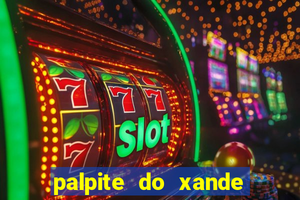 palpite do xande para hoje