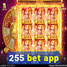 255 bet app