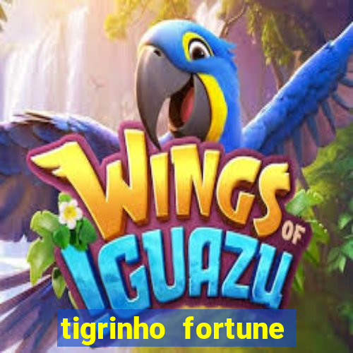 tigrinho fortune dinheiro infinito