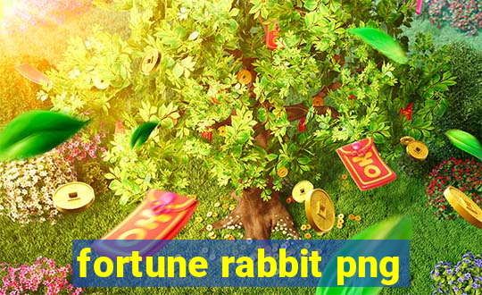 fortune rabbit png