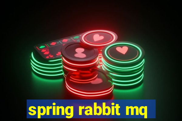 spring rabbit mq