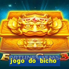 jogo do bicho pantera negra