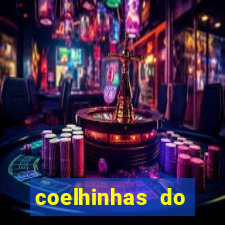 coelhinhas do brasil recife