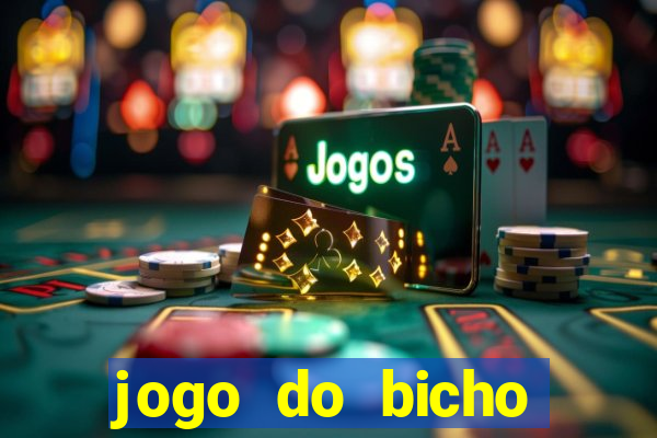 jogo do bicho crash bingo