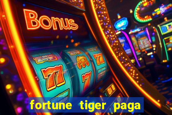 fortune tiger paga de madrugada