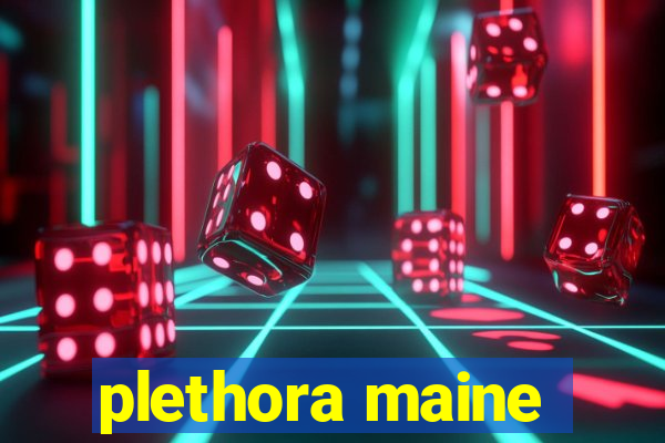 plethora maine