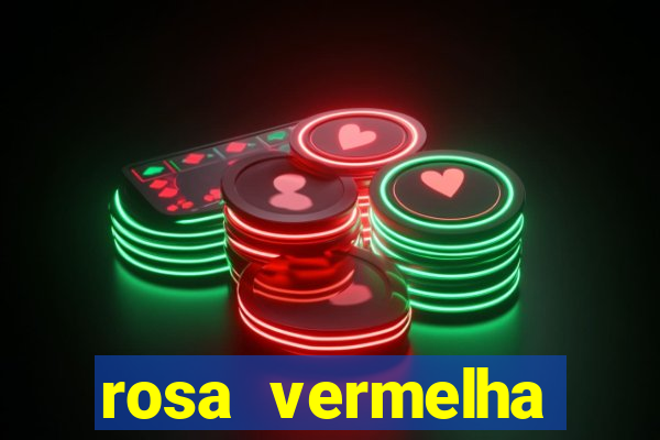 rosa vermelha (letra e cifra)