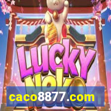 caco8877.com