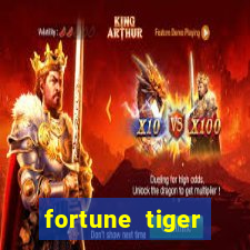 fortune tiger plataforma nova