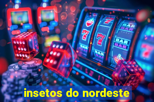 insetos do nordeste