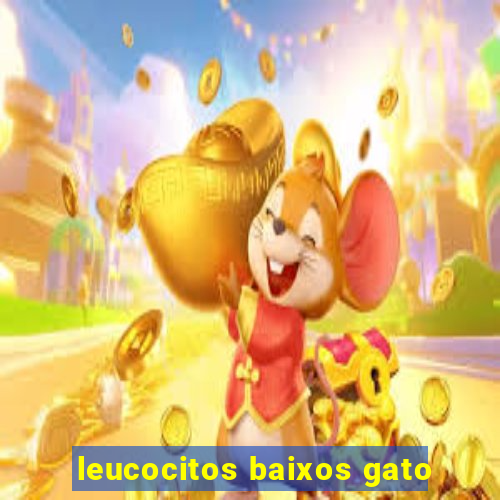 leucocitos baixos gato