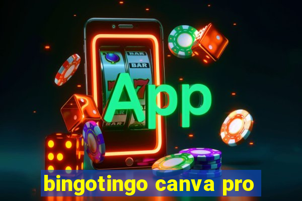 bingotingo canva pro