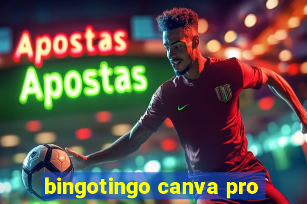 bingotingo canva pro