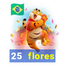 25 flores silvestres com nomes