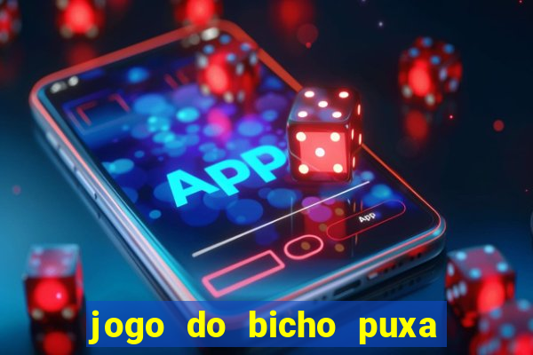 jogo do bicho puxa de dona maria