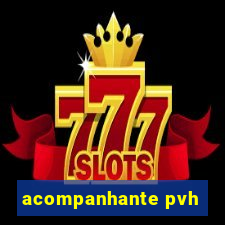 acompanhante pvh