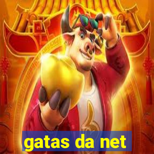 gatas da net