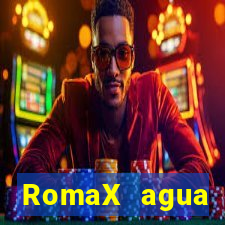 RomaX agua sanitaria fispq agua sanitaria romax