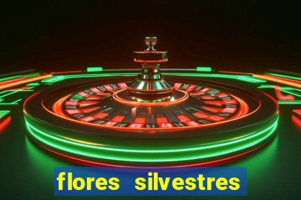 flores silvestres desbravadores desbravadores 25 flores silvestres e seus nomes