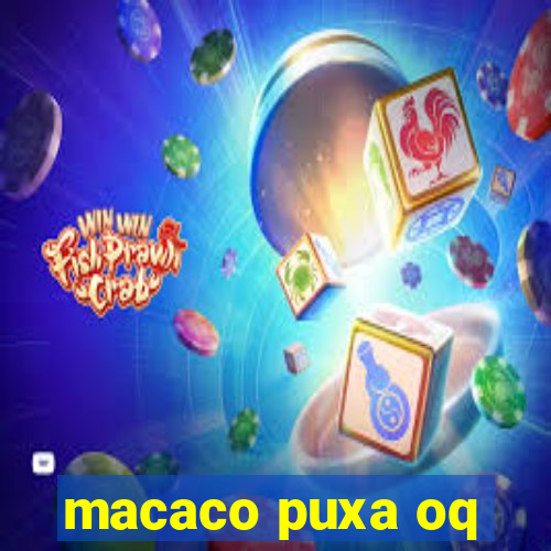 macaco puxa oq