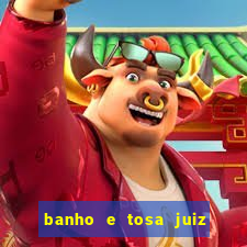 banho e tosa juiz de fora