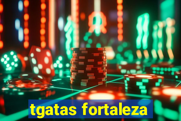 tgatas fortaleza