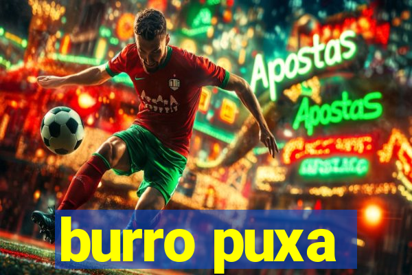 burro puxa