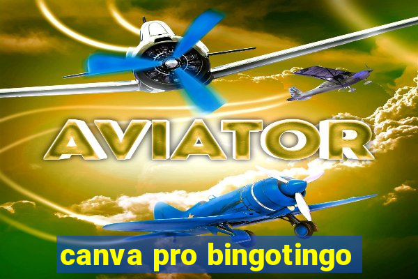 canva pro bingotingo