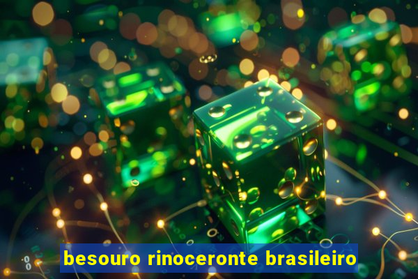 besouro rinoceronte brasileiro