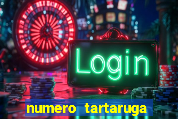 numero tartaruga jogo do bicho