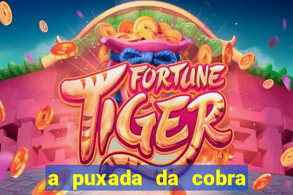 a puxada da cobra no jogo do bicho