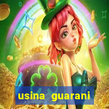 usina guarani tereos tanabi