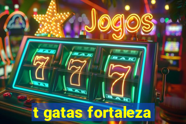 t gatas fortaleza