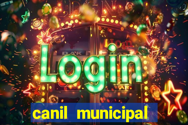 canil municipal porto alegre