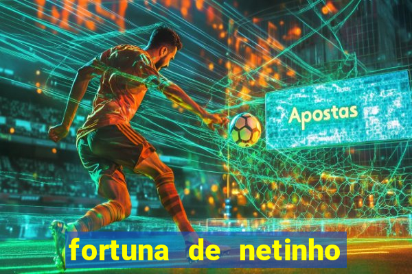 fortuna de netinho de paula