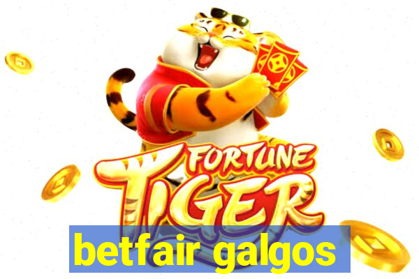 betfair galgos